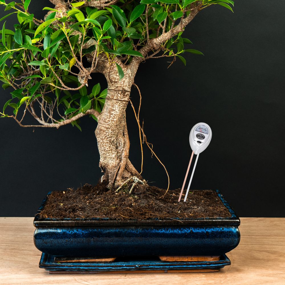 Medidor de suelo 3 en 1