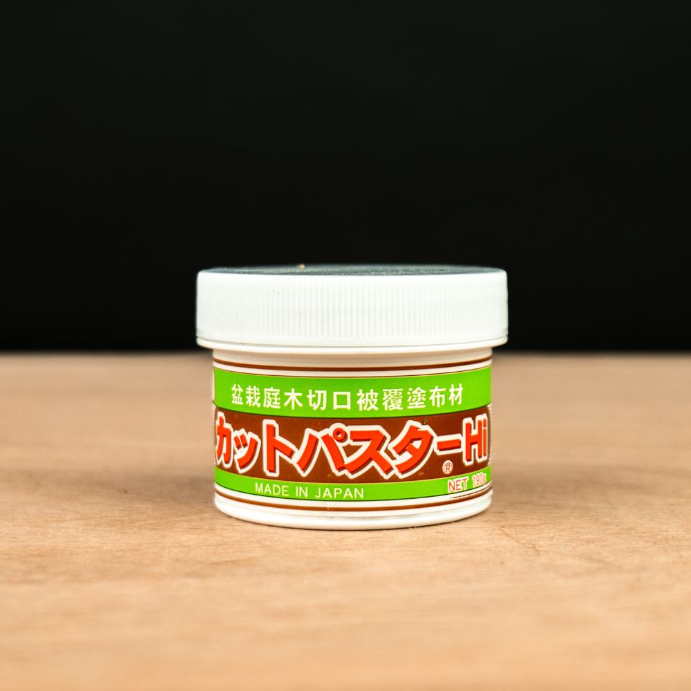 Pasta para heridas de bonsái (para árboles de hoja caduca)