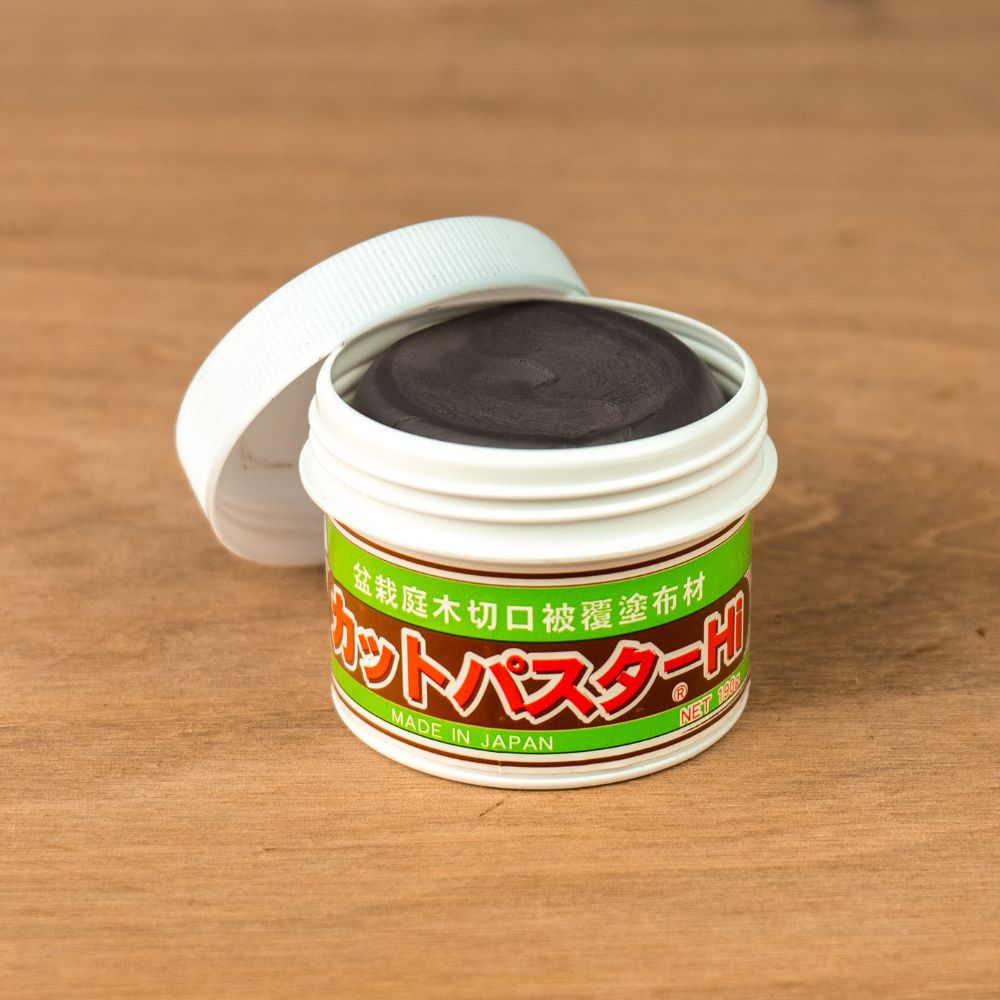 Pasta para heridas de bonsái (para coníferas)